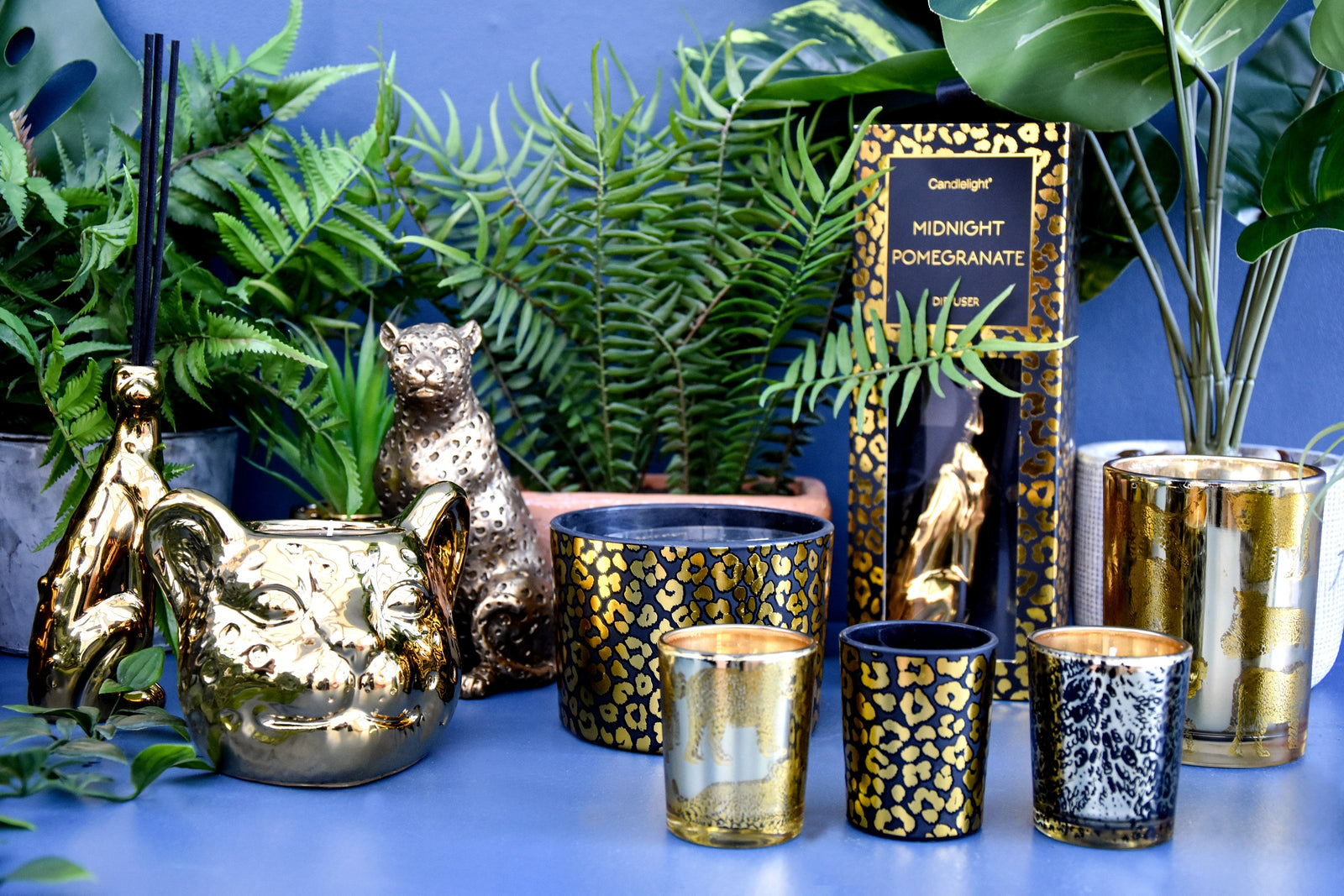 Everyone loves Animal Luxe