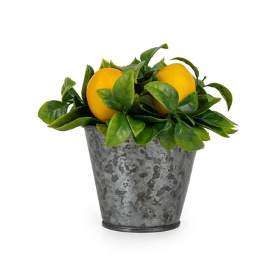 Candlelight Home 15CM ORANGES IN TIN