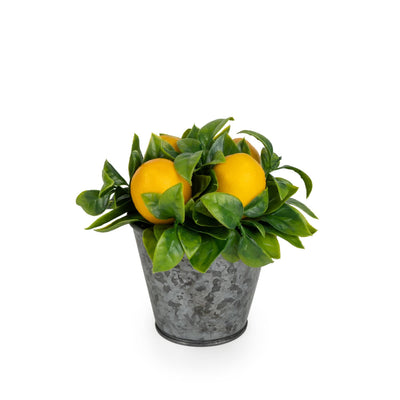 Candlelight Home 15CM ORANGES IN TIN