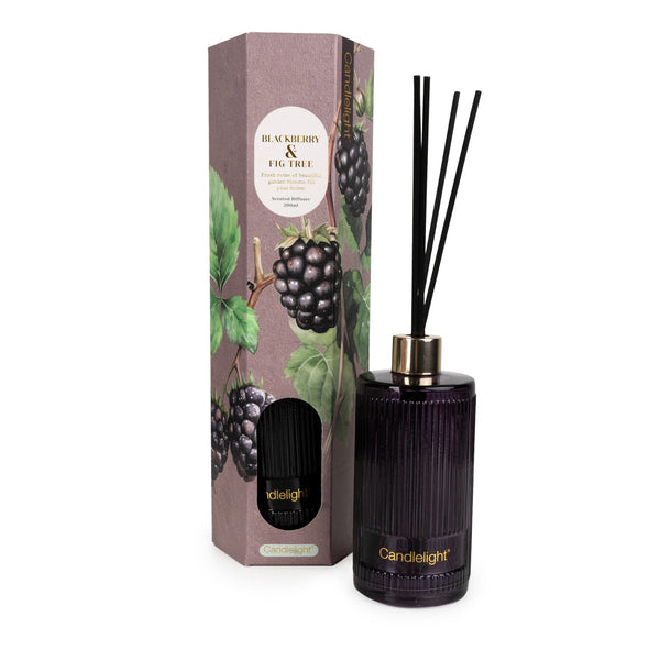 200ml Reed Diffuser - Blackberry & Fig Tree 6PK - Candlelight Home