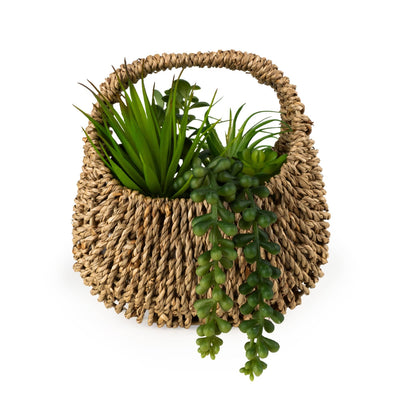 Candlelight Home 20cm Succulent in Handbag Basket 6PK