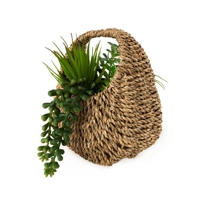 Candlelight Home 20cm Succulent in Handbag Basket 6PK