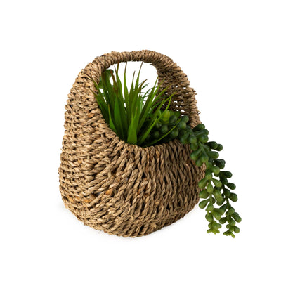 Candlelight Home 20cm Succulent in Handbag Basket 6PK