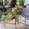 Candlelight Home 3 TIER METAL PLANTER STAND - ANTIQUE GOLD