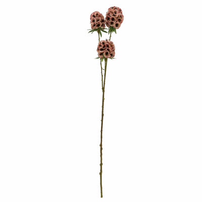 Candlelight Home 61CM 3 SCABIOSA STELLATA PINK