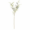 Candlelight Home Artificial Flowers Eucalyptus Citriodora Single Stem 10PK