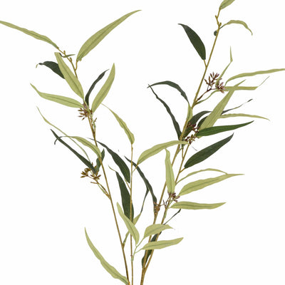 Candlelight Home Artificial Flowers Eucalyptus Citriodora Single Stem 10PK