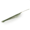 Candlelight Home Artificial Flowers Olive Single Pampas Grass 130cm 10PK