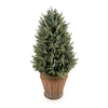 Candlelight Home Artificial Plant 29cm Tree in Pot - Cypress 6pk