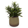 Candlelight Home Artificial Plant Rosemary in Green Pot 6PK