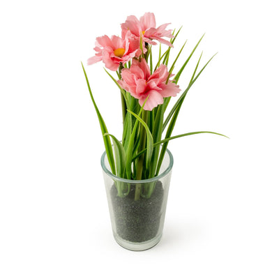 Candlelight Home Artificial Plants 19cm Transvaal Daisy in Glass Vase 6pk