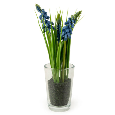 Candlelight Home Artificial Plants 20cm Hyacinthus in Glass Vase 6pk