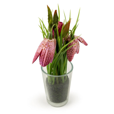 Candlelight Home Artificial Plants 21cm Fritillaria in Glass Vase 6pk