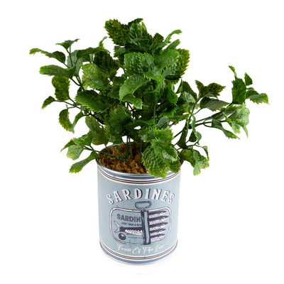 Candlelight Home Artificial Plants Faux Succulent in Metal Tin Sardines - Harbour 6pk
