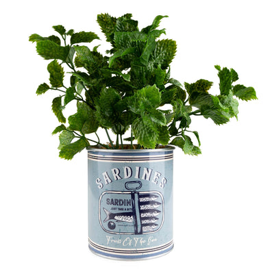 Candlelight Home Artificial Plants Faux Succulent in Metal Tin Sardines - Harbour 6pk