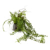 Candlelight Home Artificial Plants Fern Succulent in Glass Pot 1 PK