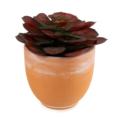 Candlelight Home Artificial Plants & Flowers 13cm Echeveria Succulent in Pot - Brown 4pk