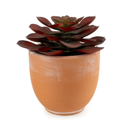 Candlelight Home Artificial Plants & Flowers 13cm Echeveria Succulent in Pot - Brown 4pk