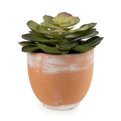 Candlelight Home Artificial Plants & Flowers 13cm Echeveria Succulent in Pot - Green 4pk