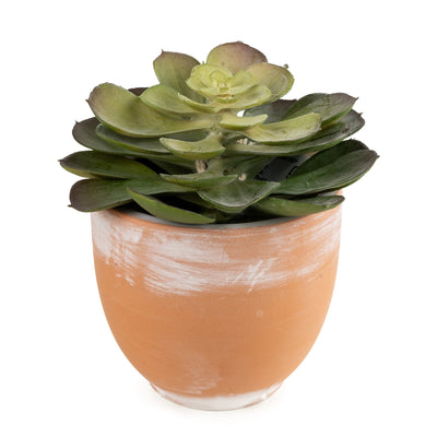 Candlelight Home Artificial Plants & Flowers 13cm Echeveria Succulent in Pot - Green 4pk