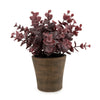 Candlelight Home Artificial Plants & Flowers 23cm Eucalyptus in Pot - Purple 6pk