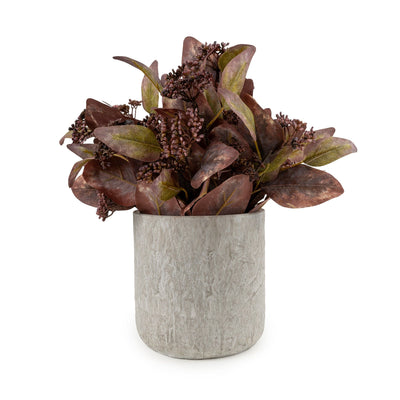 Candlelight Home Artificial Plants & Flowers 30cm Eucalyptus in Pot - Brown 6pk