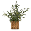 Candlelight Home Artificial Plants & Flowers 43cm Tree in Wicker Basket - Olive 4pk