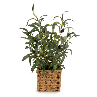 Candlelight Home Artificial Plants & Flowers 43cm Tree in Wicker Basket - Olive 4pk