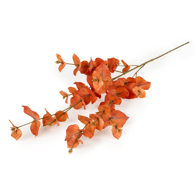 Candlelight Home Artificial Plants & Flowers 98cm Money Leaf - Cypress 6pk