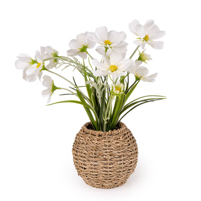 Candlelight Home Artificial Plants & Flowers Artificial Daisy Flowers in Seagrass Pot 6pk