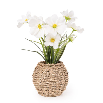 Candlelight Home Artificial Plants & Flowers Artificial Daisy Flowers in Seagrass Pot 6pk