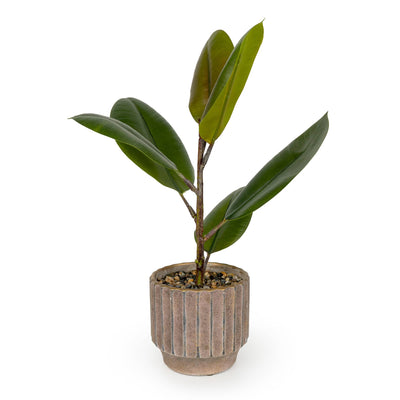 Candlelight Home Artificial Plants & Flowers Artificial Ficus Plant in Ridged Footed Pot 6pk