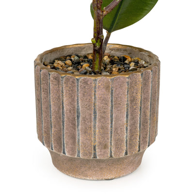 Candlelight Home Artificial Plants & Flowers Artificial Ficus Plant in Ridged Footed Pot 6pk