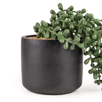 Candlelight Home Artificial Plants & Flowers String of Pearls Faux Plant in Black Ceramic Pot 6pk