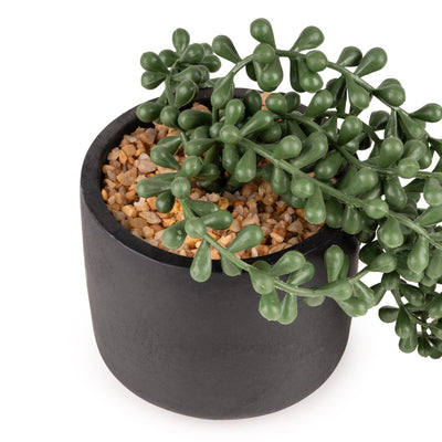 Candlelight Home Artificial Plants & Flowers String of Pearls Faux Plant in Black Ceramic Pot 6pk