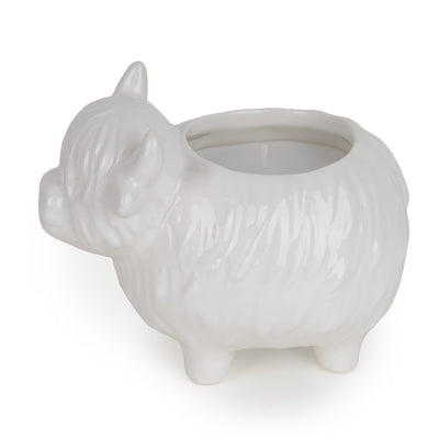 Candlelight Home candle 3D Highland Cow Candle - Highland Mist 6pk