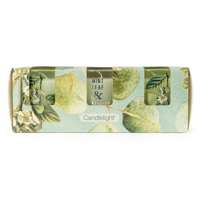 Candlelight Home Candle Gift Sets Set of 3 Votive Candles - Mint Leaf & Eucalyptus 6pk