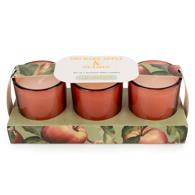 Candlelight Home Candle Gift Sets Set of 3 Votive Candles - Orchard Apple & Nutmeg 6pk