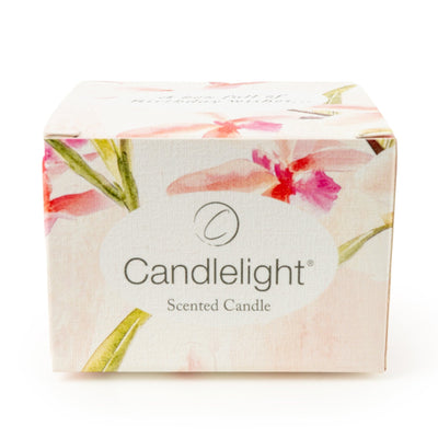 Candlelight Home Candle Gift Sets Single Candle Gift Set Birthday Wishes - Violet & Iris Flower 6pk