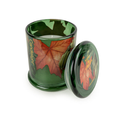 Candlelight Home candle Large Glass Jar Candle - Maple and Cardamom 6pk
