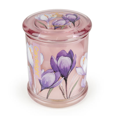 Candlelight Home candle Large Glass Jar - Crocus & Sweet Orange 6pk