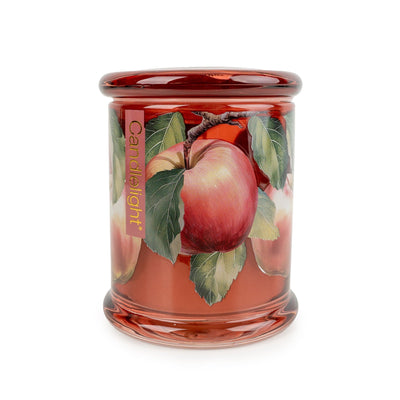 Candlelight Home candle Large Glass Jar - Orchard Apple & Nutmeg 6pk