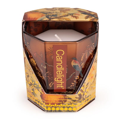 Candlelight Home candle Small Octagonal Candle - Eastern Bluebird 6pk
