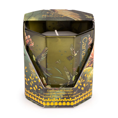 Candlelight Home candle Small Octagonal Candle - Hummingbird 6pk