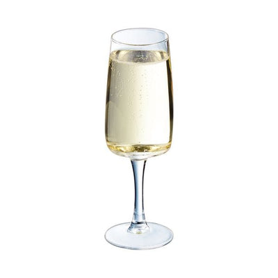 Candlelight Home flute glass 17cl Equip Home Flute Glass 6oz - 24pk