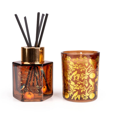 Candlelight Home fragrance gift set Reed Diffuser and Candle Gift - Eastern Bluebird 6pk