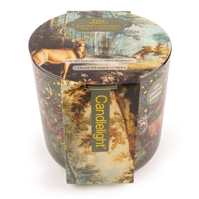Candlelight Home LED Candle LED Candle - Pine Forest 6pk