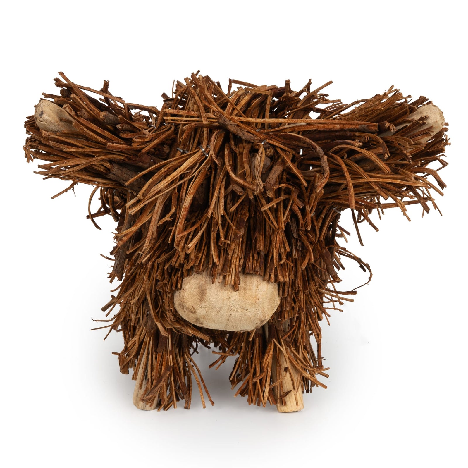 Highland Cow