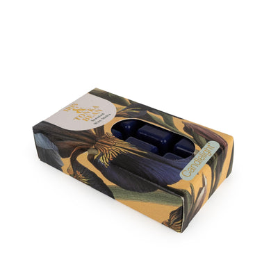 Candlelight Home PACK 8 WAX MELTS IRIS & TONKA BEAN - IRIS & TONKA BEAN SCENT