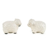 Candlelight Home Salt & Pepper Shakers Salt & Pepper Shakers - Sheep 6PK